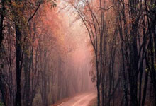 体彩大乐透开奖中奖号码,体彩大乐透开奖中奖号码走势图