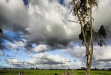 体彩足球怎么买新手入门,2021体彩怎么买足球