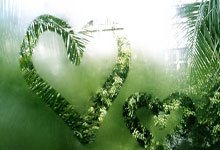 福彩双色球开奖结果规则及奖金2月3日,双色球今天开奖结果2月2号