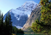 福彩直播体彩直播官网,福彩直播体彩直播官网查询